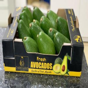  Nous Disposons Des D'avocat De Kenya/ethiopie - fruits et légumes nous disposons 2 variétés d'avocat en provenance du kenya et de l'ethiopie - * l'avocat fuerte et * l'avocat hass,  tous en grande quantité.--dans un emballage cartons de 4kg.----a.)prix exw de la boîte de 4 kg comme suit ;--- variété hass de 6.5$ à 8, 5