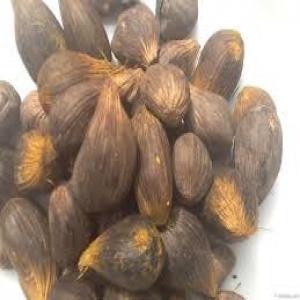 RECHERCHE PARTENAIRE ACHETEUR DE NOIX DE PALMISTE - autres nous sommes une association base a man a l'ouest de la cote d'ivoire. nous pouvons fournir 400 tonnes de noix de palmiste par mois  toute l'année.  