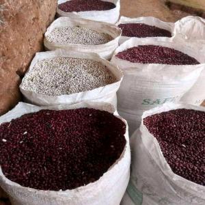  Vente De Céréales En Gros - céréales nous disposons actuellement de ---- 20 000t de sésame ;--- 10 000t de maïs ;--- 12 000t de soja.--nous sommes à la recherche de clients.--possibilité de fournir partout dans le mode au-delà du stock actuel en fonction des besoins sous contrat.--au plaisir d'une collaborat