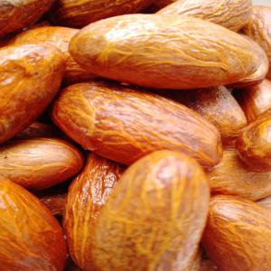  Le Petit Colas - matiere vegetale en afrique de l'ouest précisément la côte d'ivoire nous cultivons le petit colas  et nous cherchons des potentiels clients acheteurs ou transformateurs du petit colas en europe ,  france, asi ,  turquie, canada et aussi des partenaires  . nous avons vraiment besoin des personnes s&ea