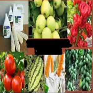  Engrais Sans Produits Chimiques - chimie additif engrais engrais booster de cultures ; d'arbres...nourrisseur de sol.-- avec produits produits protecteurs contre chenilles,  insectes...--disponible immédiatement!----économisez 65% de votre investissement habituel!--augmente votre rendement à 300 % conserve vos cultures pendant plusieur