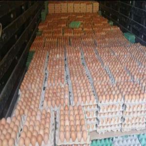  Oeufs En Stockage - viandes et oeufs nous disposons des œufs en quantité abondante que nous pouvons livrer partout dans le monde et nous suivons nos produits commandés par nos clients jusqu'à la destination 