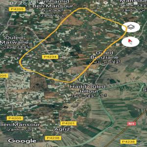  Avocats Type Haas - fruits et légumes il y a un domaine agricole de 8 hectares. la villa est isolée par une clôture de la ferme telle qu'elle apparaît dans les vidéos. quant aux lavocat,  ils sont tous du meme type haas et ont 8 ans. la villa vaut à elle seule plus de 60 millions de dirhams. voir la vid&e