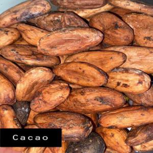  Besoin Des Acheteurs Du Cacao, Sésame, Soja - fruits secs et graines grillées nous recherchons un gros acheteurs pour un contrat a long terme pour l'achat des quantit&eacute;s de s&eacute;same soja et cacao le tonnage minimal requis pour le contrat est de 5000t pour chaque granul&eacute;s.pour tout int&eacute;ress&eacute; nous &eacute;crire not&eacute; bien que l'information 