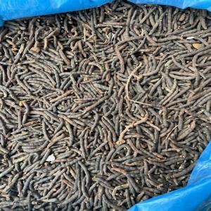  Recherche Fournisseur De Poivre Africain - épices aromates bonjour je suis à la recherche de fournisseur de poivre africain. pour achat en grande quantité --urgent 