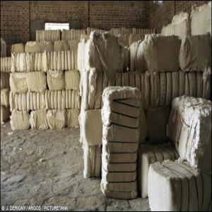  Déchez De Coton Et Graine De Coton De Bon Qualité - autres déchez de coton et graine de coton de bon qualité disponibles----nous avons de tres bonne qualité de graine de coton. ou nous vous vendons exactement de gens de qualité que vous souhaitez. veuillez nous contacter si vous avez aussi besoins des huile  nous en procéd