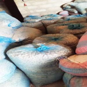  Partenariat De Vente Des Pulpes De Baobab - fruits et légumes nous sommes une entreprise béninois appelé obstiné group spécialisée dans la ventes des produits tropicaux----et nous disposons actuellement de 35tonnes de pulpe de baobab à vendre aux entreprises de l'agroalimentaire et de production de jus de fruits --cont