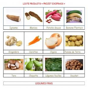 Legumes Et Fruits Exotiques Distribution - fruits et légumes nous cherchons des partenaires producteurs des produits exotiques ci-après.----ci-dessous les besoins d'importation de légumes en provenance d'afrique par avion (3 tonnes par semaine)----- piment frais habanero--- piment frais végétarien--- gombos variété cl