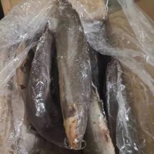  Catfish Whole Round Export To African Markets - fish catfish whole round--iqf or block frozen--glazing-0-30%glazing--packing-10kg/carton--it is good source of protein.
