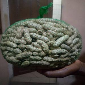  Arachides Fraiches Du Benin - fruits et légumes vends des arachides fraiches du bénin.--nous produisons des arachides fraiches exportables à partir du bénin.--bien nettoyées et de qualité supérieure.--prix de vente compétitif - 0, 70 /kg