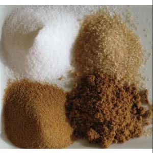  High Quality White And Brown Sugar Icumsa 45 - other we present the finest quality crystal white and brown cane sugar which is manufactured from the best quality cane for better taste and sweetness. our sugar is made as per the approved standards and is made in hygienic conditions. sugar that we offer is free from contamination and is packed suitably 