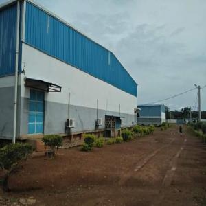  Usine De Transformation D'huile De Palme .ci - Industrie exploitation usine de transformation de palme en vente --superficie totale - 4ha----espace occup&eacute;e ---- point bascule - 1--- bureau - 8 bureaux --- salle d'eau - 1--- laboratoire - 1--- magasin de pi&egrave;ces d&eacute;tach&eacute; - 3--- salle de maintenance m&eacute;canique -1--- capacit&eacute; - l'us