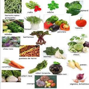  Légumes Et Fruits Ivoirien - fruits et légumes je suis un entrepreneur de la kag et qui souhaite &agrave; importer des l&eacute;gumes et des fruits avec des clients erop&eacute;ens chaque mois donc je recherche des clients qui vont achet&eacute;s mes l&eacute;gumes et fruits je suis un homme de confiance et je ne trahir pas mes acheteurs 