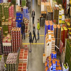 Pastèques,melons.. Poivrons,piments,aubergines... - fruits et légumes nous sommes une soci&eacute;t&eacute; sp&eacute;cialiser dans l'exportation de fruits et l&eacute;gumes. notre mission * fournir des produits de qualit&eacute; en respectons les r&eacute;glementations techniques et commerciales. * une communication professionnelle afin de r&eacute;aliser un part