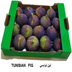  Figues Fraiches - fruits et légumes figue fraiche  gout authentique varieté locale zidi  emballé en carton de 5 kg . disponible en grande quantité ,  production de la saison 2022 . quantité minimum a commander 2000  kg  ( 02 palettes ) . 