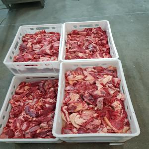  Importation De Viandes Surgelees En Afrique - viandes et oeufs hello,  nous sommes des importateur de viandes surgelées,  d'épices,  de fruits et de légumes en afrique. nous importons de ma viandes surgelées de qualité ( poulet,  porc et bœuf),  des épices,  des fruits et légumes d'origines polonaises. vous reche