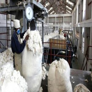  Coton Du Mali - autres coton disponible au mali--type- juli--résistance - 32.5--longueur -29.8--allongement -5.9--maturité -0.88--la quantité disponible actuellement est de 500t