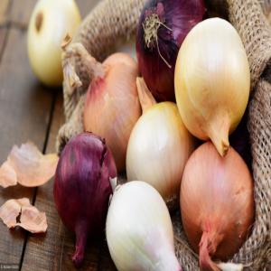  Oignon - fruits et légumes on dispose oignon d'origine tunisienne de qualit&eacute; et avec prix comp&eacute;titifs--quantit&eacute; disponible 100tonne --pour plus d'informations contactez nous sur whatsapp ou email 
