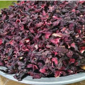  Fleurs D'hibiscus (bissap) Vendre - fruits secs et graines grillées bonjour à tous. --nous avons en stock une quantité importante de fleurs d'hibiscus près à l'exportation. toutes personnes intéressés me contacter. --merci. 