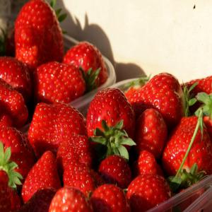  Fraise Framboise Myrtille Du Maroc De Bonne - fruits et légumes nous sommes une entreprise basée au maroc spécialisée dans l'exportation de fruits frais dans le monde entier. notre gamme comprend différentes variétés de fruits rouge,  des framboises,  des fraises,  des myrtilles ... --notre mission est de proposer des produ