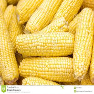  Maïs Seché En Excellente Condition. - fruits et légumes maïs sech&eacute; de tr&egrave;s bonne qualit&eacute;,  50 tonnes disponible,  300  /tonne net possibilit&eacute; de livrer dans le monde entier. --pour plus d'infosrmations contacter, 