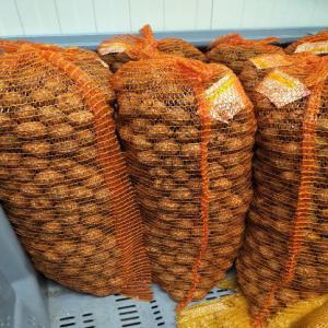  Producteur De Noix 1er Choix Offre En Sac 10kg - fruits et légumes variétés - lara  (ronde) et franquette.--calibre supérieur à 30 mm, -- emballage en 5 kg,  10 kg et bigbag 500 kg.--produit disponible.