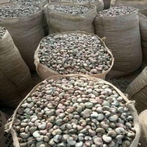  Raw Cashew Nuts - roasted seeds and nuts product - raw cashew nuts --product origin - benin--price - usd 1120 per tonne  --        --fob - cotonou port--packing - 80kg jute bag--quantity available - 1000 mt --minimum order - 26 tonne ----number of nuts - 180 max / kg--basic output - between 50 and 56 lb--impurity / foreign material - 2% ma