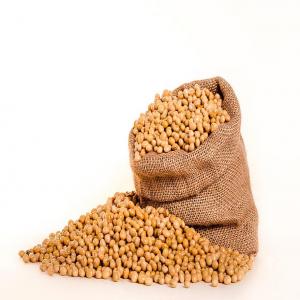  Soja - fruits et légumes sp&eacute;cialis&eacute;e dans l import-export du soja,  commerce g&eacute;n&eacute;ral,  nous sommes &agrave; la recherche de clients consommateurs du soja pouvant aller d'une tonne &agrave; 5000 tonnes et plus. 