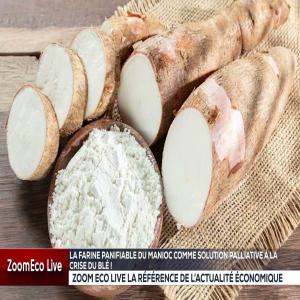  Production De Farine Panafiable - fruits secs et graines grillées je veux un associé ayant un peu de moyens financiers juste 10.000euros pour contribuer pour qu'à deux nous allons installer au moins une machine ici au togo pour commencer la production de farine panafiable c'est à dire une farine à base de tubercules de manioc séc