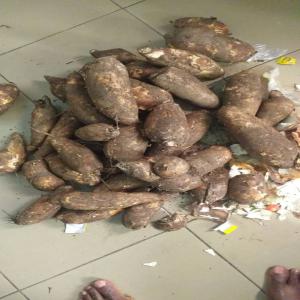  En Quete Partenaire Acheteur De Produits Vivriers - fruits et légumes nous sommes un groupe de jeunes en côte d'ivoire qui avons décidé de travailler en coopérative pour la vente des produits vivriers tels que le manioc,  la banane plantain..  nous recherchons un partenaire pret à s'engager avec nous financièrement et maté