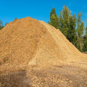  Sciure De Bois Partir D'un Conteneu De 500 Sacs - bois charbon fibre nous vendons de sciure de bois très bon et meilleurs avec de meilleures conditions de paiement pour vos travaux d'aménagement et construction à partir d'un camion de 500 sacs de 50 kg à 1500$ le conteneur de 20 pied complet soit 950.000fcfa le conteneur de 20'.--paiement 
