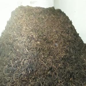  Caroube Vendre - fruits secs et graines grillées salam, --je met en vente plus de 30 tonnes de caroube avec un rendement de 21% et plus. votre disposition dans le province de ouazzane.