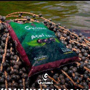  Wassai Fruit Typique De La Amazonie - fruits et légumes l'a&ccedil;aï est un fruit br&eacute;silien cultiv&eacute; principalement dans la r&eacute;gion amazonienne. de couleur fonc&eacute;e allant du violet au noir le fruit riche en fibres et fer