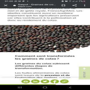  Blé Dur Seigle, Blé Tendre, Colza - céréales besoin urgent de fournisseurs pour---5000t par mois de bl&eacute; dur seigle,  --1000t par mois de bl&eacute;  tendre --et 1000t par mois de colza--