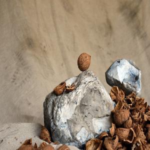  Coquilles De Noix - autres vends coquilles de noix non calibré pour paillage,  chauffage ou autre... coquille de noix issus du cassage,  ces lots peuvent contenir des brisures de cerneaux de noix. les coquilles sont actuellement stockées en bigbag.  