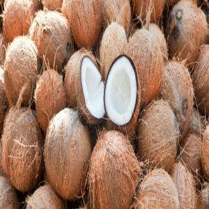  Noix De Coco - autres je suis en contact avec des producteurs  bord champs de noix de coco en tr&egrave;s grande quantit&eacute; (des millions de noix)  a abidjan ,   et je recherche de acheteurs vraiment serieux pour colaborer sur ce projet . merci 
