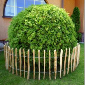  Ganivelle Noisetier En Rouleaux De 5m Et 10m - bois charbon fibre nous vendons des produits en pin raboté et traités en autoclave comme des lames terrasses,  du bardage,  du bois de construction,  des rondins ou encore des produits d’aménagement extérieur comme des pergolas,  des tables de pique-nique,  des carports et bien d'autres produits