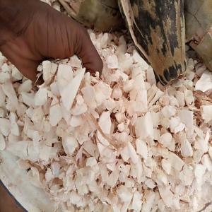  Fruit De Baobab ,et Poudre De Baobab - fruits secs et graines grillées nous sommes une unités de production de la poudre de baobab basé au bénin. nous pourrons fournir de la poudre de baobab bien traité, très fine et bien tamisée. nous pourrons fournir aussi de la pulpe de baobab non transformer en poudre. nous sommes prets pour