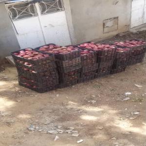  Pommes Du Nord Liban - fruits et légumes producteur-récoltant ,  notre  lieu de récolte est hasroun,  liban située à une altitude de 1700m est caractérisé par son climat tempéré et une bonne saison de pollinisation.  a chaque été de grandes pommes de la meilleure qualit&ea