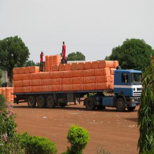  Nous Disposons Les Produit De Qualité - matiere vegetale nous sommes situ&eacute;e au benin nous recherchons des clients potentiels qui sont a la recherche des productions agricoles telque *le manioc *l'igname *le s&eacute;same *le maïs *le cacao *l'haricots *huile de palmiste *tourteaux de coton *de cajoux nos produits sont 100% naturels et 