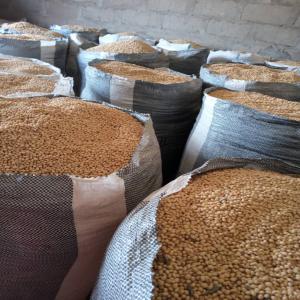  Soja Maïs Mil Rouge Arachide Haricot - céréales nous recherchons des partenaires acheteurs et exportateurs des céréales (soja  ) capables d'acheter ici au togo des céréales  bio que nous produisons en quantités considérables. nous pouvons vous rassurez de trouverer ces produits en quantité voulu et