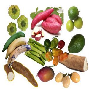  Commerciaux Pour Legumes Et Fruits D'afrique - fruits et légumes nous cherchons des agents commerciaux indépendants pour faire la distribution de fruits et légumes exotiques au bénin,  au ghana,  en côte d'ivoire,  au sénégal,  au togo,  ... en europe et dans le monde ---- commercial (commerciaux - agents commerciaux indé