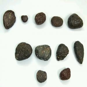  Buyers Meteorite - pierre roche je recherche un acheteur s&eacute;rieux et honnete afin d'acheter une collection des m&eacute;t&eacute;orites les plus rares trouv&eacute;es dans le d&eacute;sert du sud du maroc