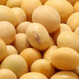  Vente De Soja - fruits et légumes nous recherchons des clients et/ou un partenaire avec des entreprises ou des commer&ccedil;ants ayant besoin du soja. nous pouvons livrer plus de 3000 tonnes de soja. veuillez nous contacter pour etre notre partenaire. nous sommes au togo