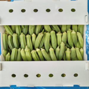  Gombo Du Sénégal - fruits et légumes nous sommes une entreprise agricole basée au sénégal. nous disposons en ce moment plusieurs tonnes de gombo de très bonne qualité et nous sommes à la recherche de clients et partenaires pour pouvoir écoulé notre production.