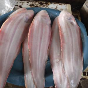  Ventes De Fruits De Mer - poissons -gambas 20 /kg ttc---calamars 35 /kg ttc---crevettes (grises, n'3, n'5) /15 kg ttc---crabes 15 /kg ttc---langoustes 45 /kg ttc---capitaines 20 /kg ttc---soles 15 /kg ttc