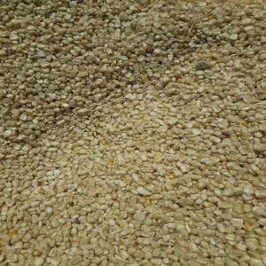  Vente Maïs Blanc - céréales notre entreprise vous propose c'est meilleurs productions. 20. 000 tonnes de maïs blanc,  et recherche des acheteurs s&eacute;rieux. pour tout vos commands contactez nous. --exportation partout dans le monde --merci 