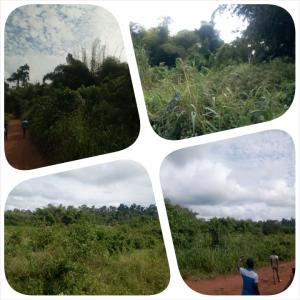  Terrain De 5000ha En Vente Pour Hyper Projet - mine terrain concession nous sommes une entreprise immobili&egrave;re et nous c&eacute;dons pour le compte d'une communaut&eacute; locale en c&ocirc;te d'ivoire. terrain situ&eacute; &agrave; bouafl&eacute; avec titre foncier agricole d'une superficie globale de 5000ha . possibilit&eacute; de c&eacute;der &agrave; parti