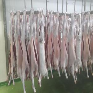  Viande D'agneaux Bovins D'espagne Halal - viandes et oeufs fournisseur de viandes bovines et ovines d'espagne,  de race croisée charolais limousin pour les viandes de veaux,  et entrefinos -merinos pour les viandes d'agneaux.----viande fraiche et congelée----