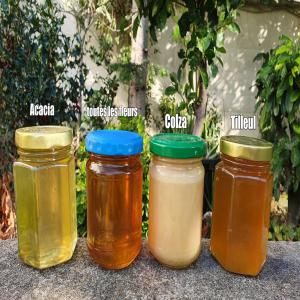  Miel Roumanie - produits sucrés ! je m'appelle daniel je fais partie d'un famille d'apiculteurs en roumanie avec une histoire de plus de 30 ans dans l'apiculture nous avons tous les certificats des producteurs/apiculteurs nous avons actuellement 350 familles d'abeilles les quantit&eacute;s et les prix auxquels nous
